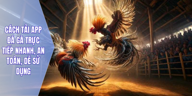Cách tải app đá gà trực tiếp