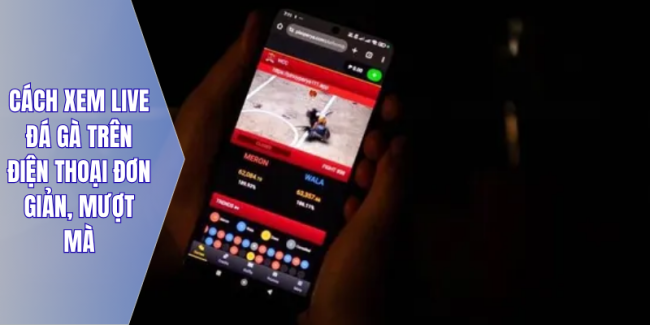 Cách xem live đá gà trên điện thoại