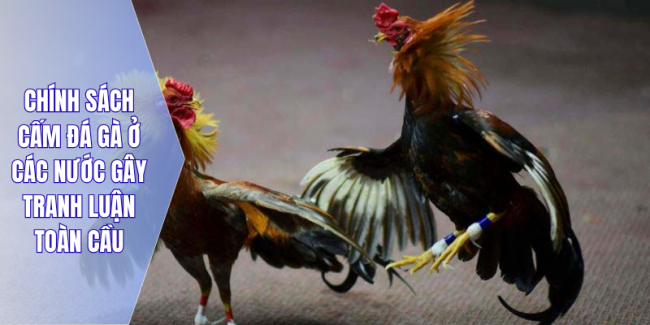 Chính sách cấm đá gà ở các nước