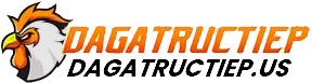ĐÁ GÀ TRỰC TIẾP