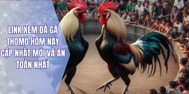 Link Xem Đá Gà Thomo